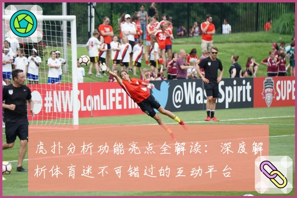 虎扑分析功能亮点全解读:深度解析体育迷不可错过的互动平台