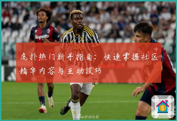 虎扑热门新手指南：快速掌握社区精华内容与互动技巧
