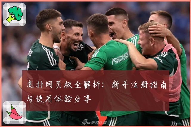 虎扑网页版全解析：新手注册指南与使用体验分享